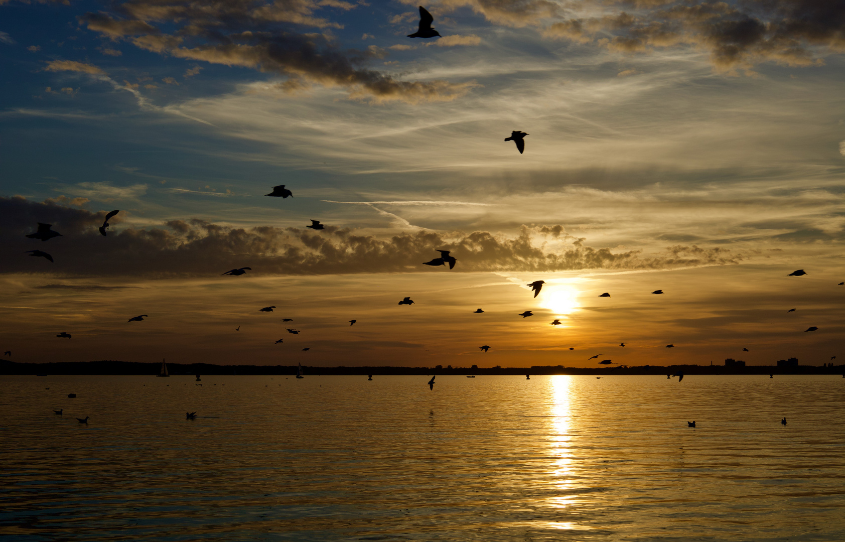 Abendstimmung am Müggelsee 