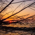 Abendstimmung am Müggelsee