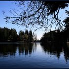 Abendstimmung am Mummelsee