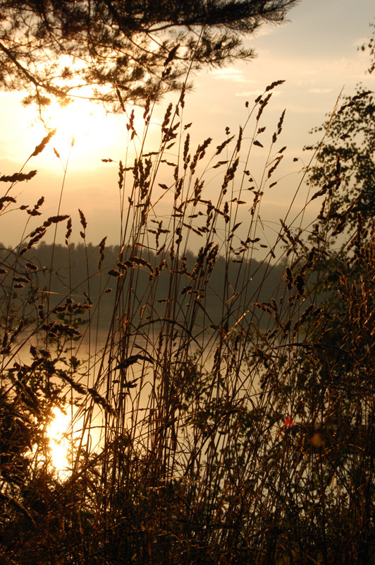 Abendstimmung am Murner See bei Wackersdorf