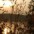 Abendstimmung am Murner See bei Wackersdorf