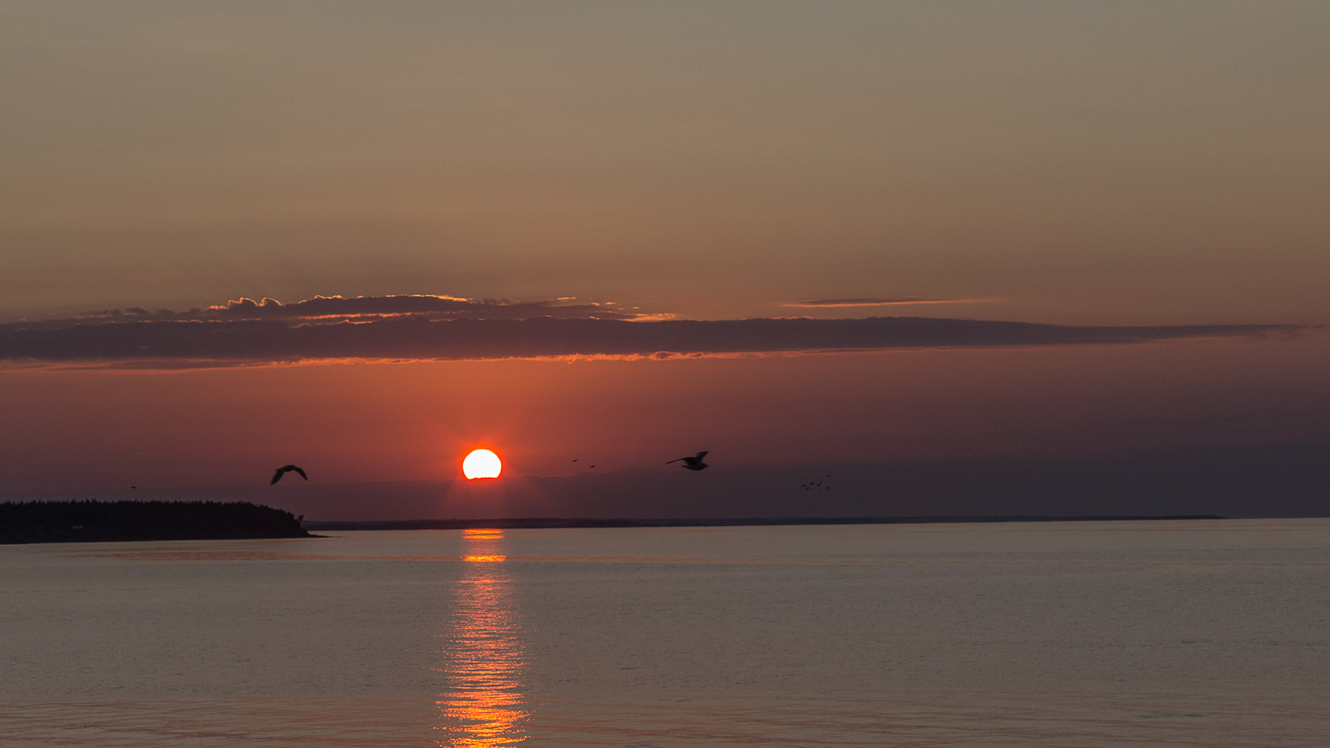 Abendstimmung am Murray Head