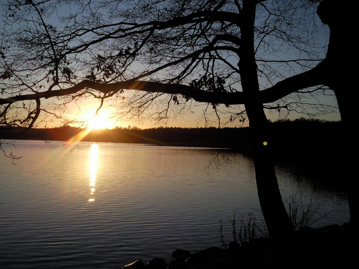 Abendstimmung am Nebelsee in Krümmel