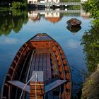 Abendstimmung am Neckar