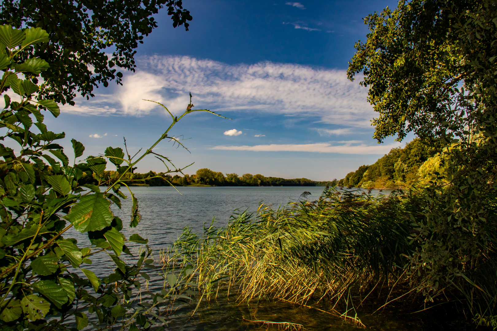 Abendstimmung am Neumühler See 