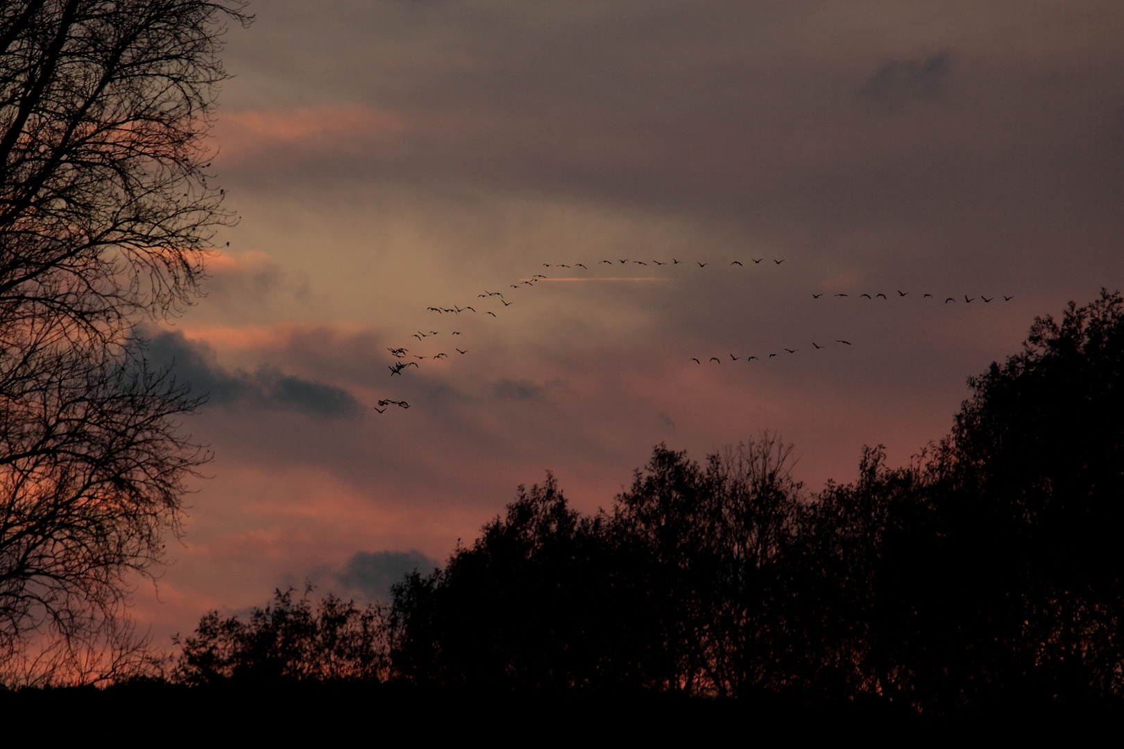 Abendstimmung am Niederrhein