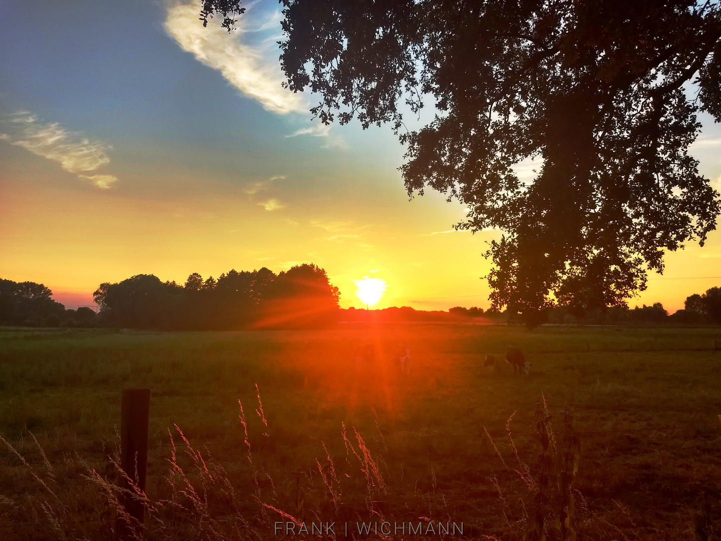 Abendstimmung am Niederrhein