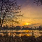 Abendstimmung am Niederwiesenweiher