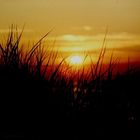 Abendstimmung am Nordstrand/ Rügen