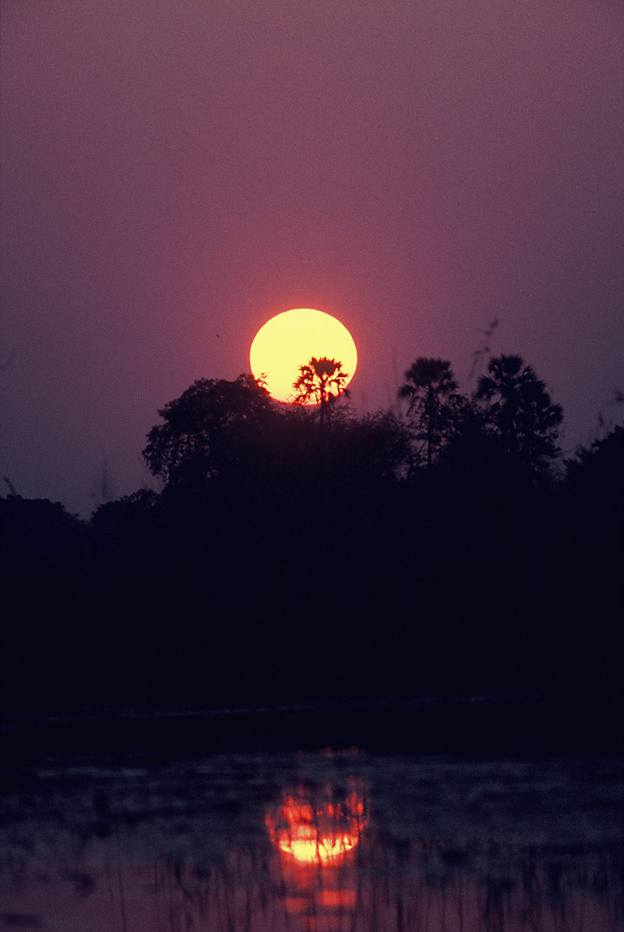 Abendstimmung am Okavango