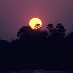 Abendstimmung am Okavango