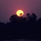 Abendstimmung am Okavango