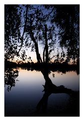 Abendstimmung am Olchiger See