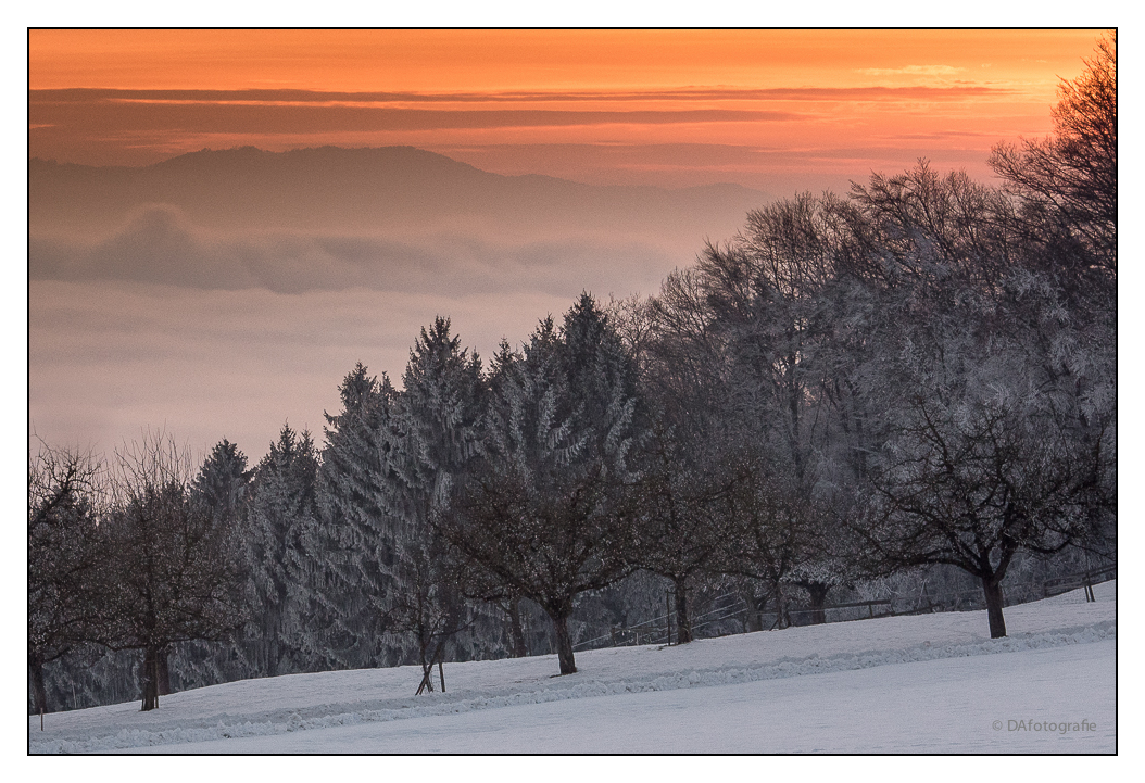 Abendstimmung am Ottoberg