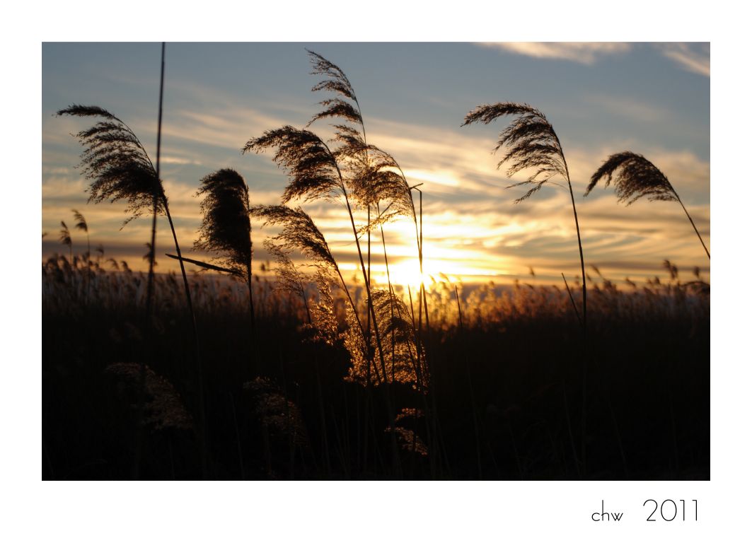 Abendstimmung am Peenestrom bei Warthe....