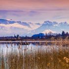 Abendstimmung am Pfäffikersee