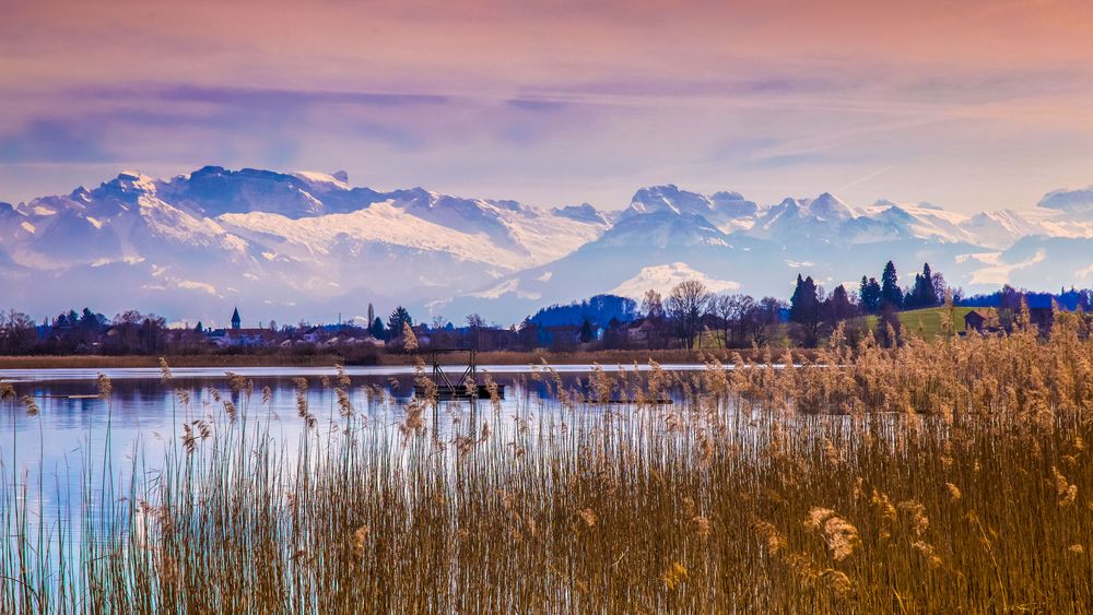 Abendstimmung am Pfäffikersee