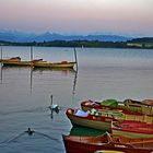 Abendstimmung am Pfäffikersee