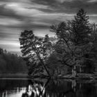 Abendstimmung am Pfaffensee