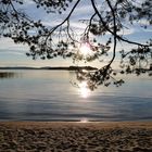 Abendstimmung am Pielinensee