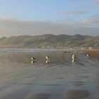 Abendstimmung am Pismo Beach