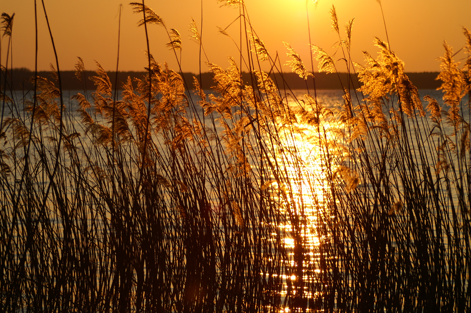 Abendstimmung am Plauer See