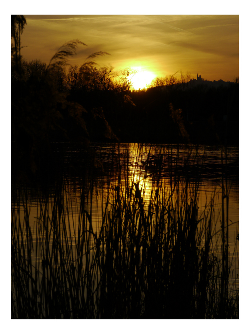 Abendstimmung am Pleschinger See