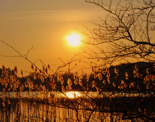 abendstimmung am pohlsee