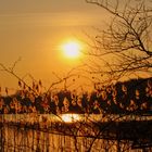 abendstimmung am pohlsee