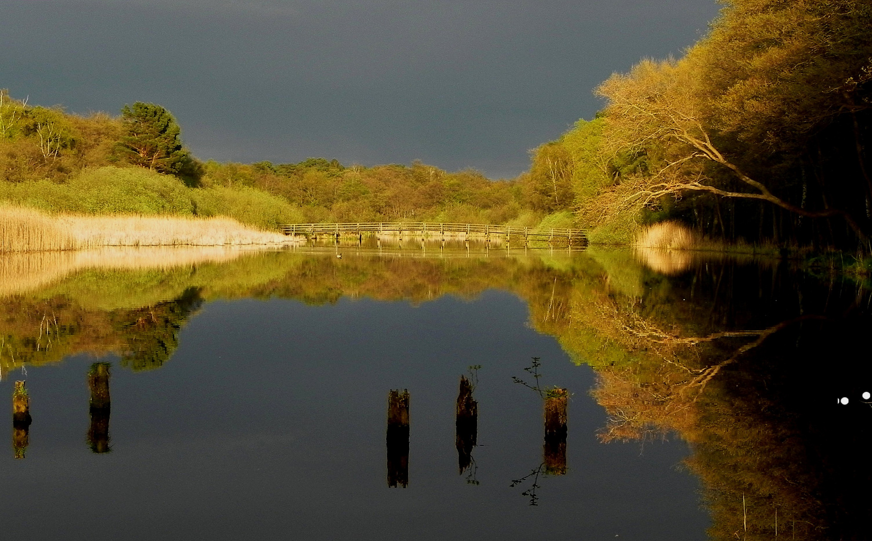 Abendstimmung am Prerowstrom