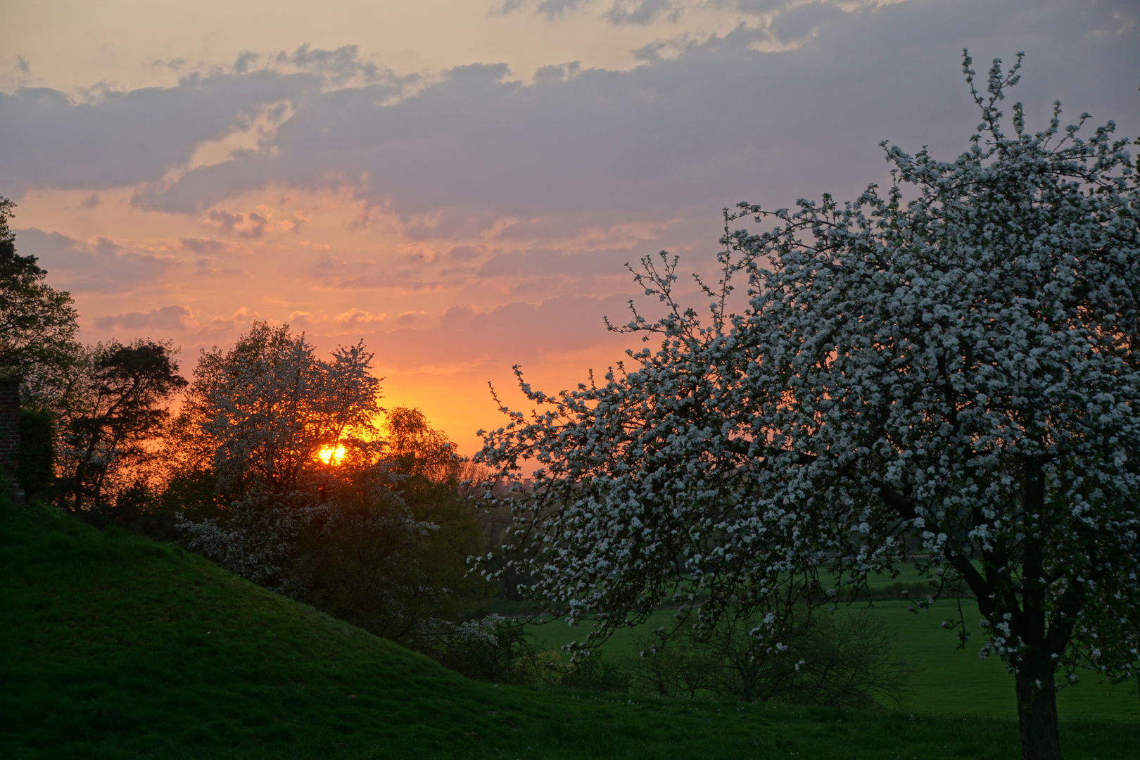 Abendstimmung am Rande der Ruhr (Schwerte)