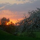 Abendstimmung am Rande der Ruhr (Schwerte)