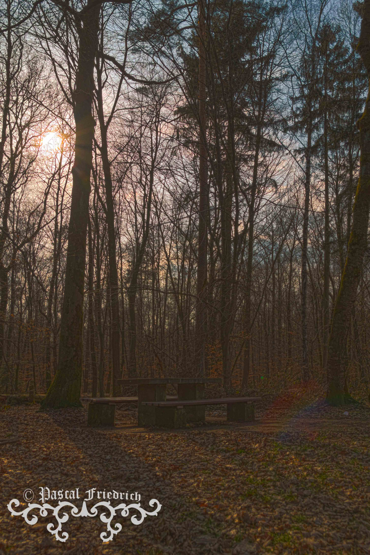 Abendstimmung am Rastplatz