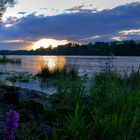 Abendstimmung am Rhein