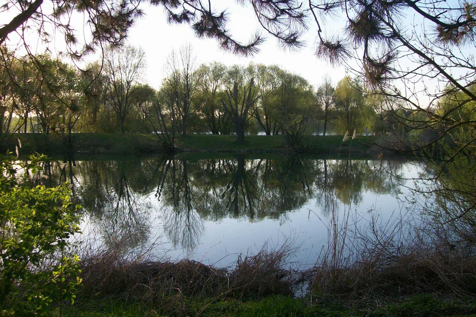 Abendstimmung am Rhein