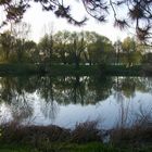 Abendstimmung am Rhein