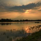 Abendstimmung am Rhein