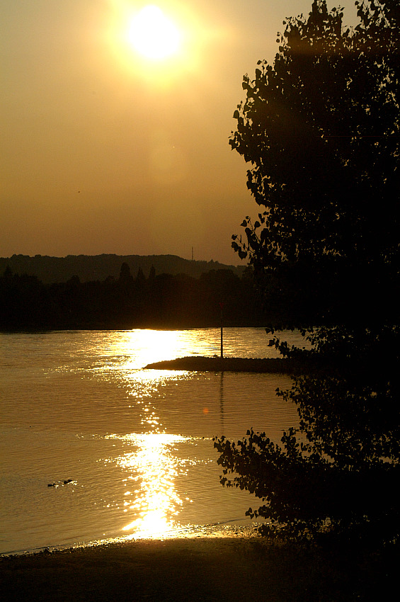 Abendstimmung am Rhein