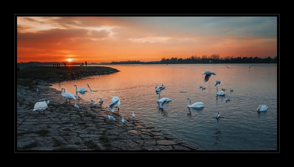 Abendstimmung am Rhein...