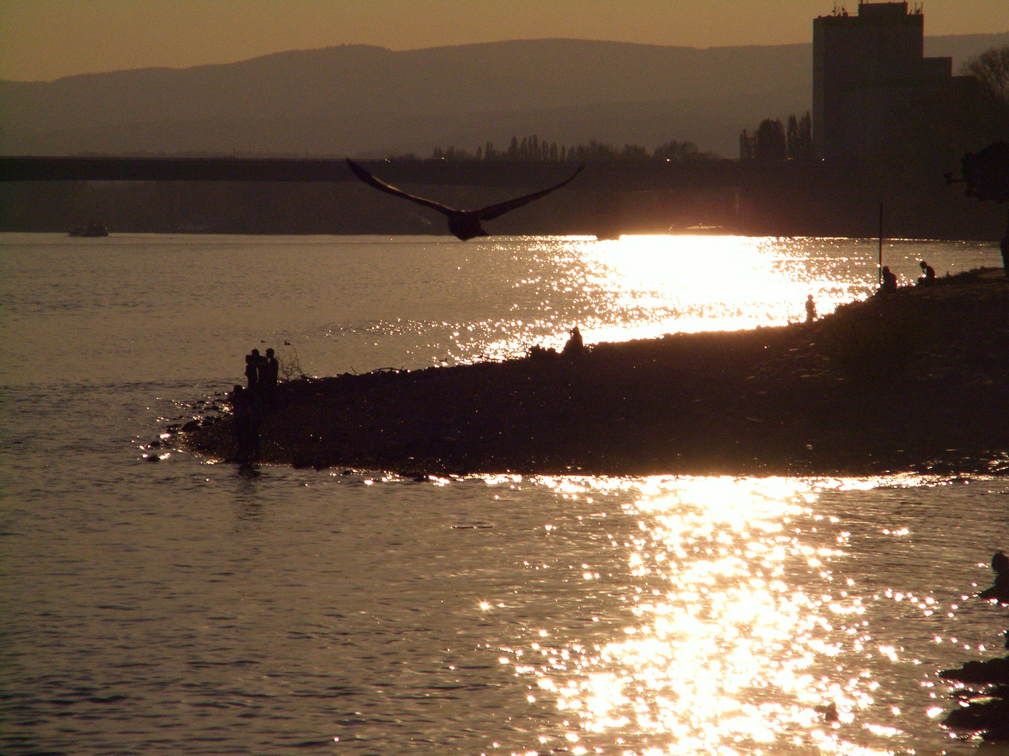 Abendstimmung am Rhein