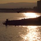 Abendstimmung am Rhein