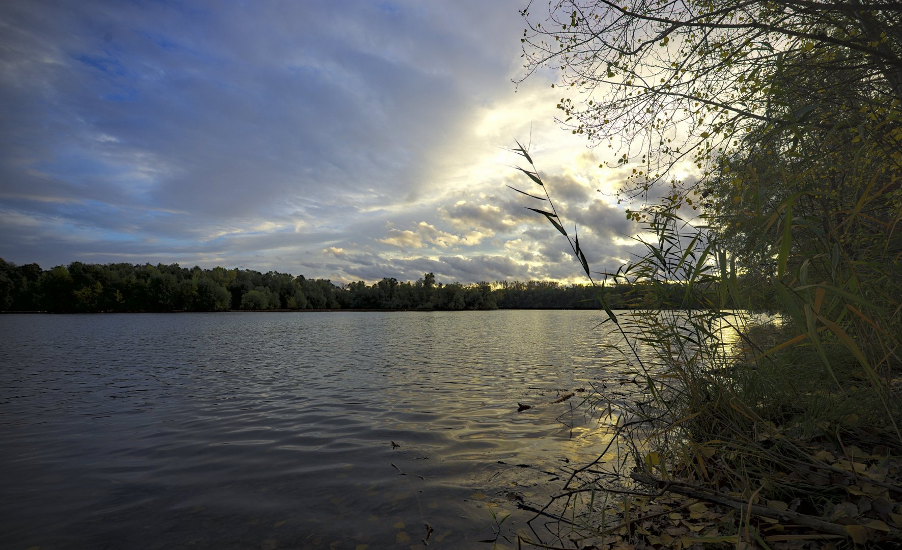 Abendstimmung am Rhein