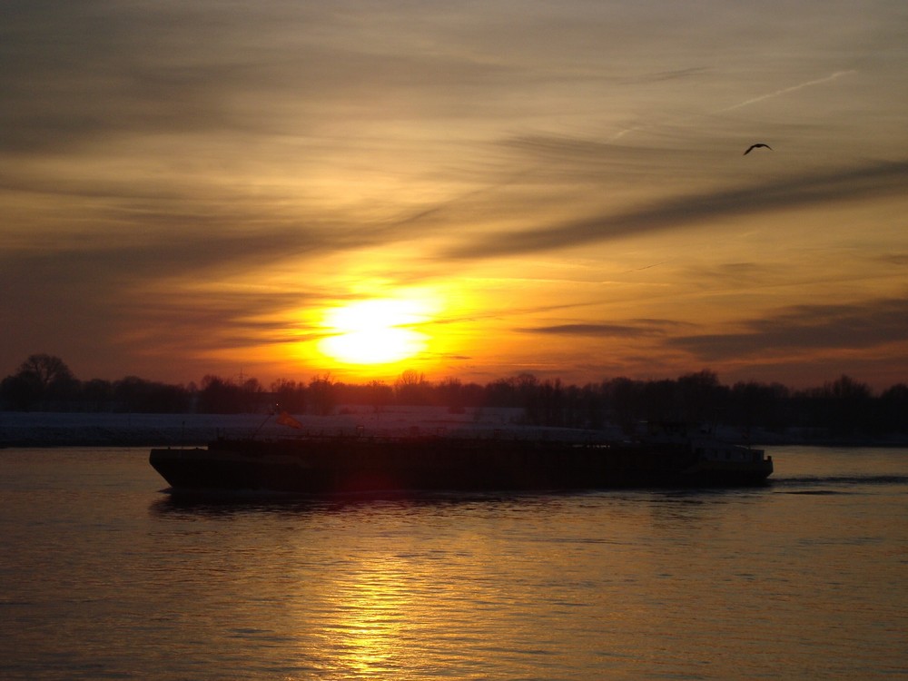 Abendstimmung am Rhein