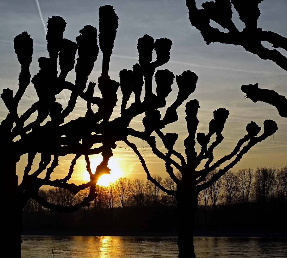 Abendstimmung am Rhein