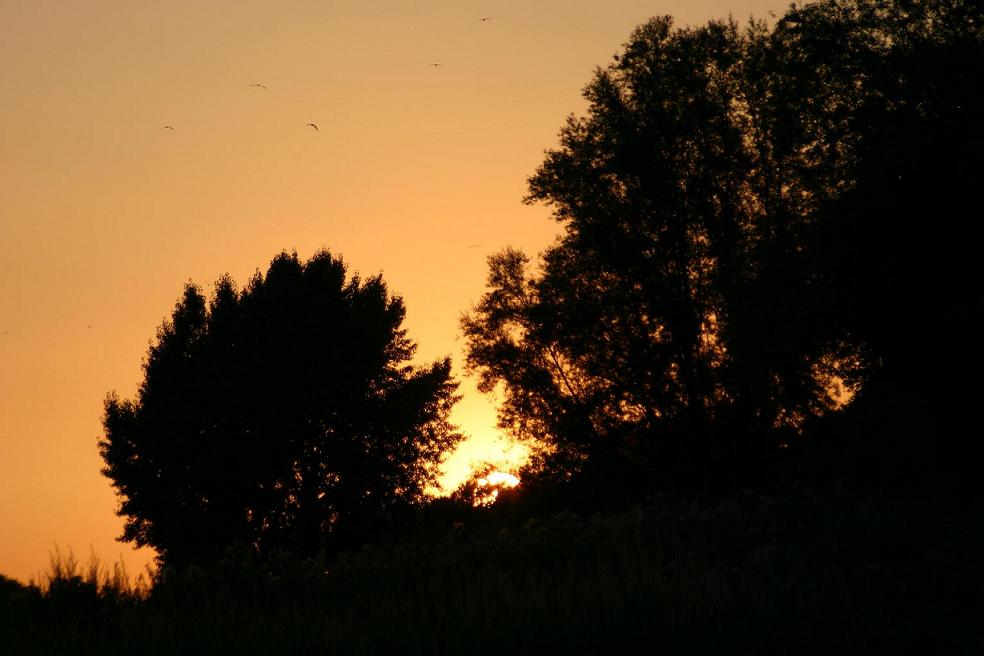 Abendstimmung am Rhein