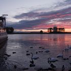 Abendstimmung am Rhein