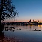 Abendstimmung am Rhein bei Mainz II / Januar 2011