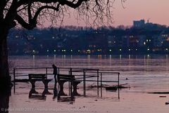 Abendstimmung am Rhein bei Mainz / Januar 2011