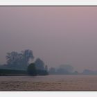 Abendstimmung am Rhein bei Perrich