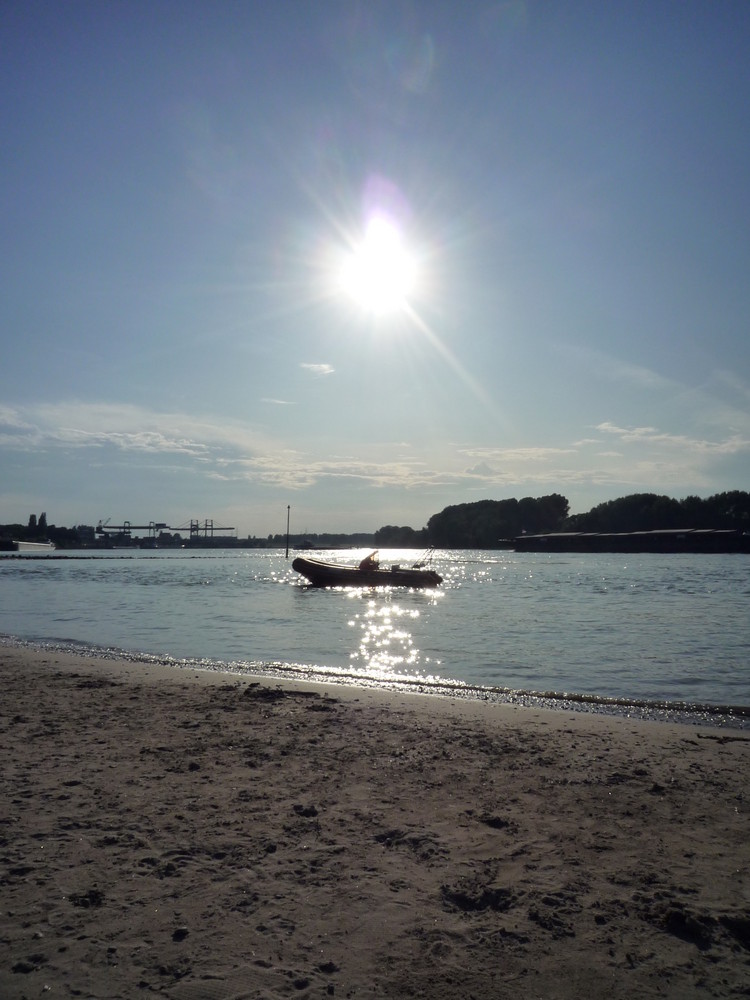 Abendstimmung am Rhein bei Stürzelberg